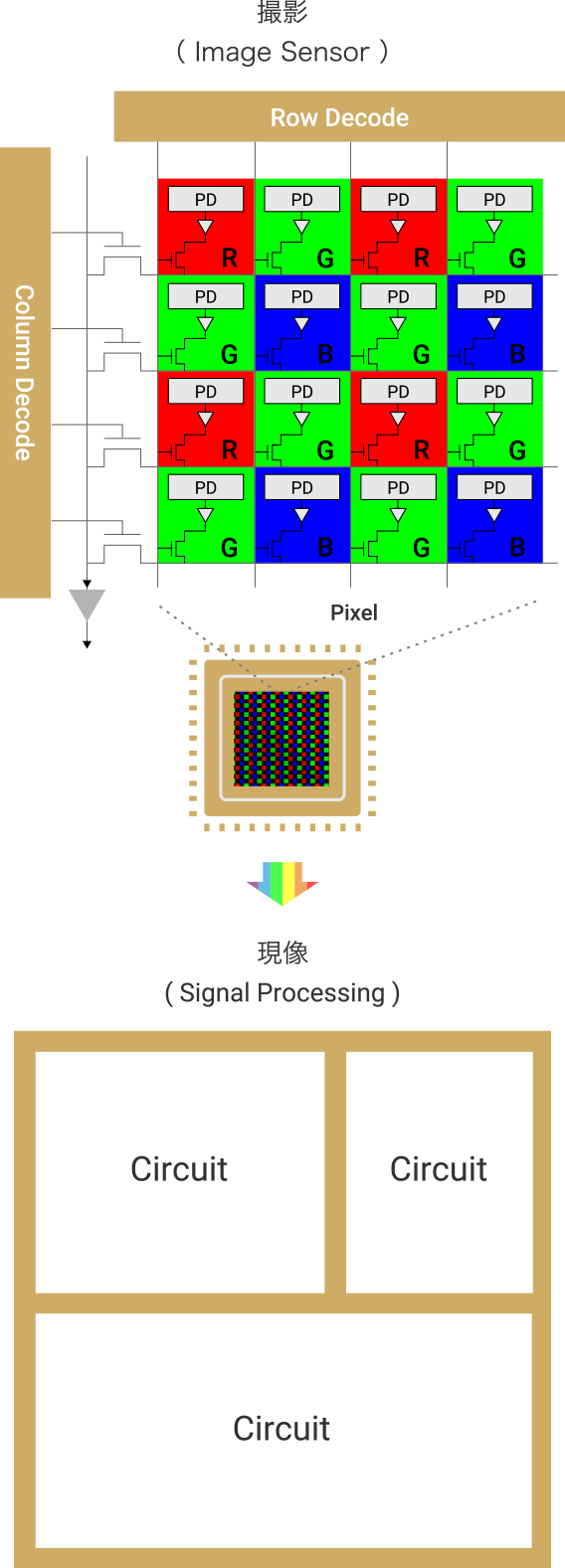 CMOSイメージセンサー開発